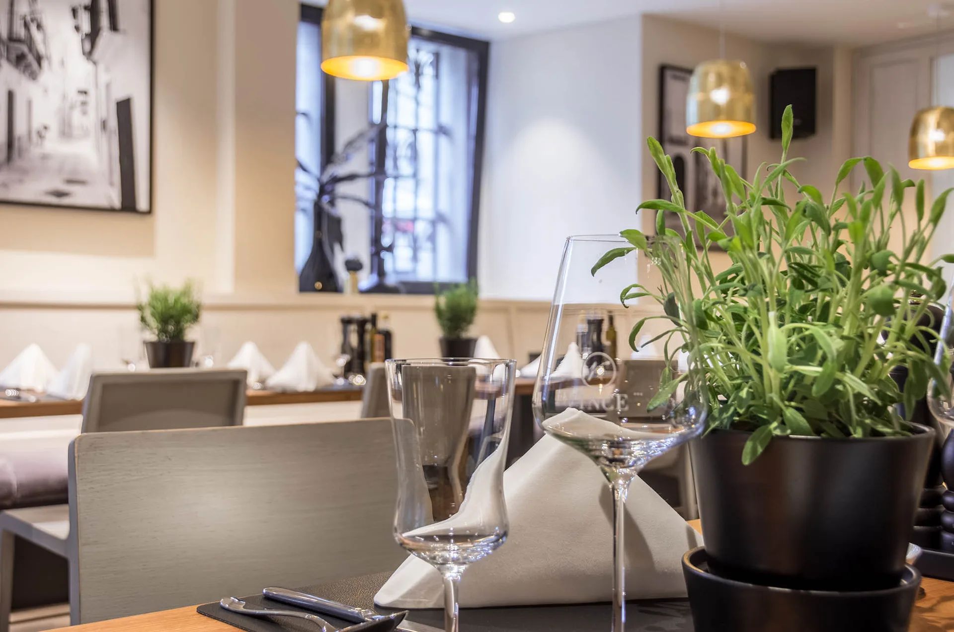 Vince Ristorante — photo 19