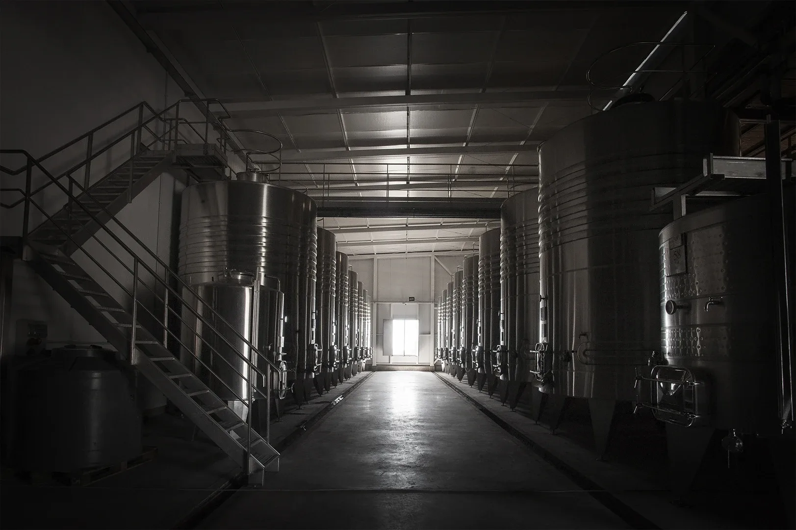 Martino Wines — drink