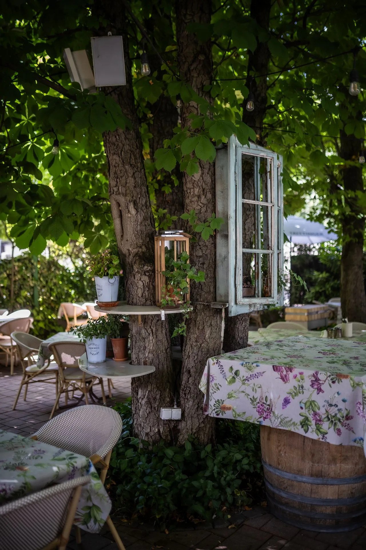 Jardinette Kertvendéglő — photo 81