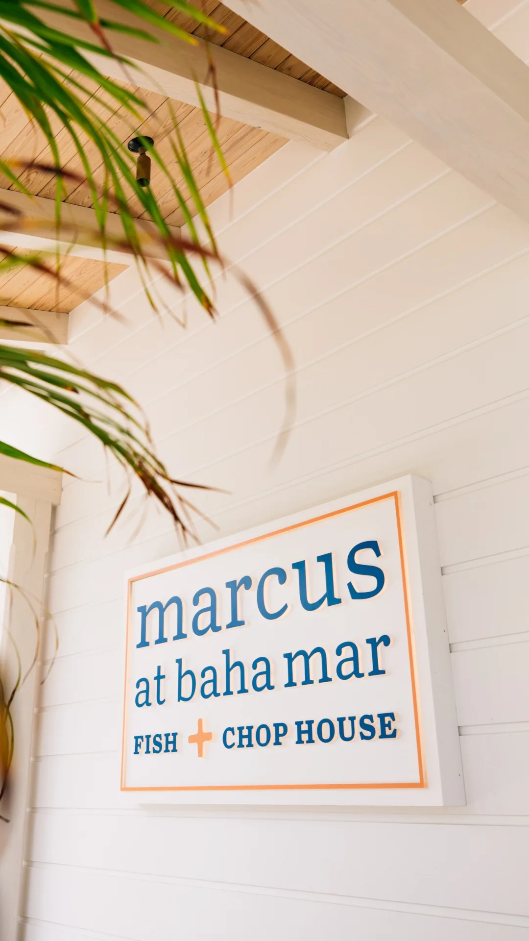 Marcus at Baha Mar Fish + Chophouse — photo 16