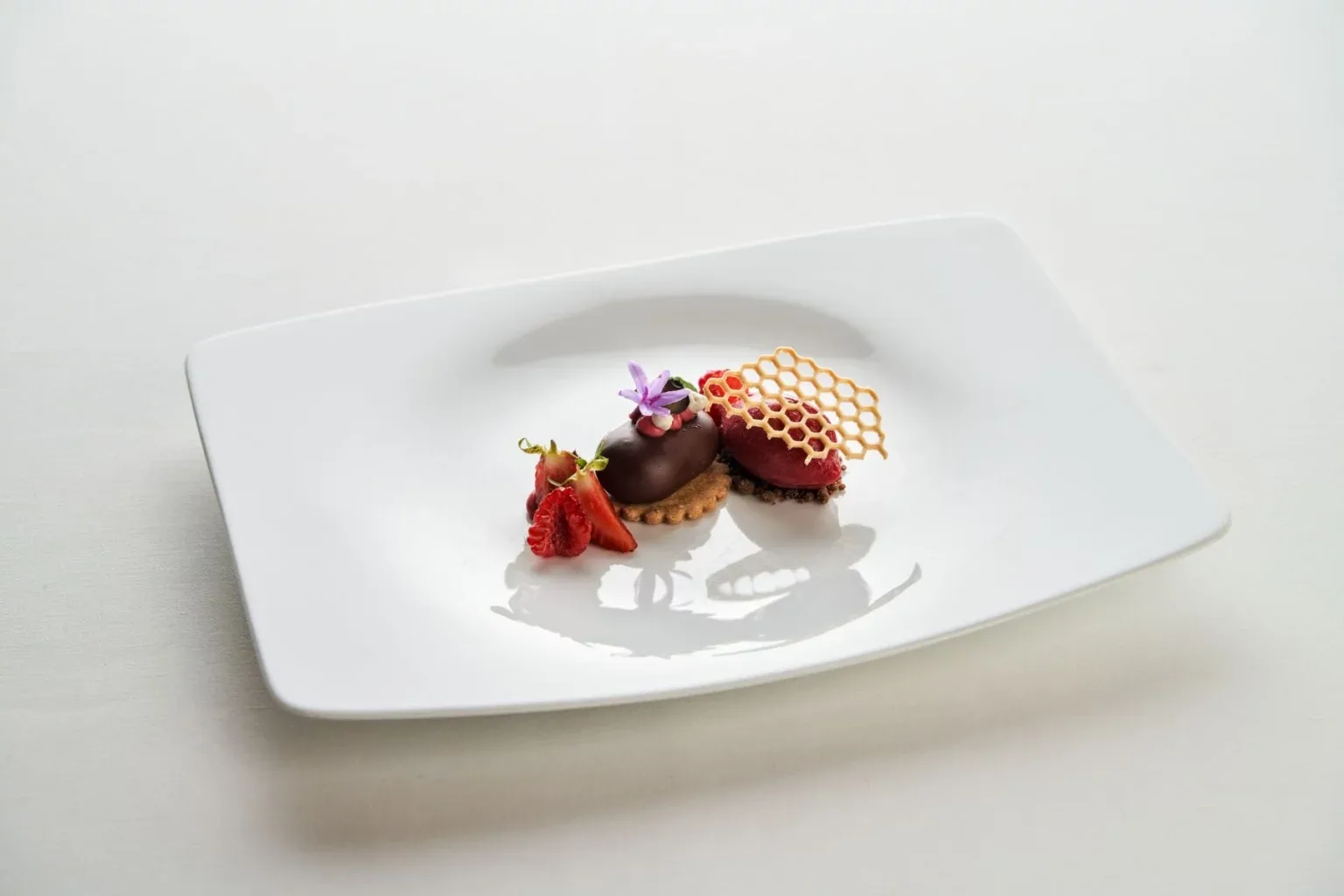 Picea — food