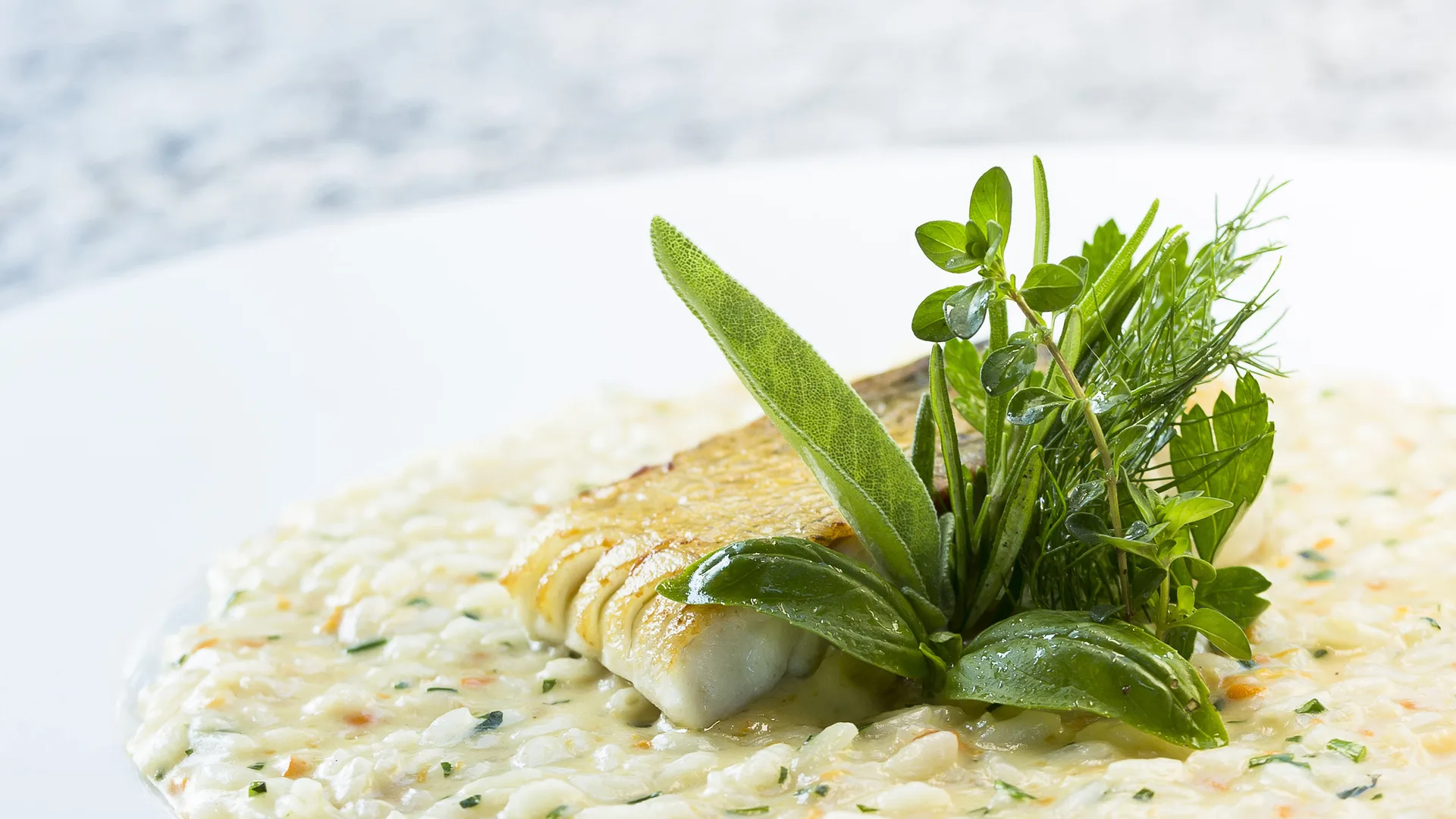 Da Enzo — food