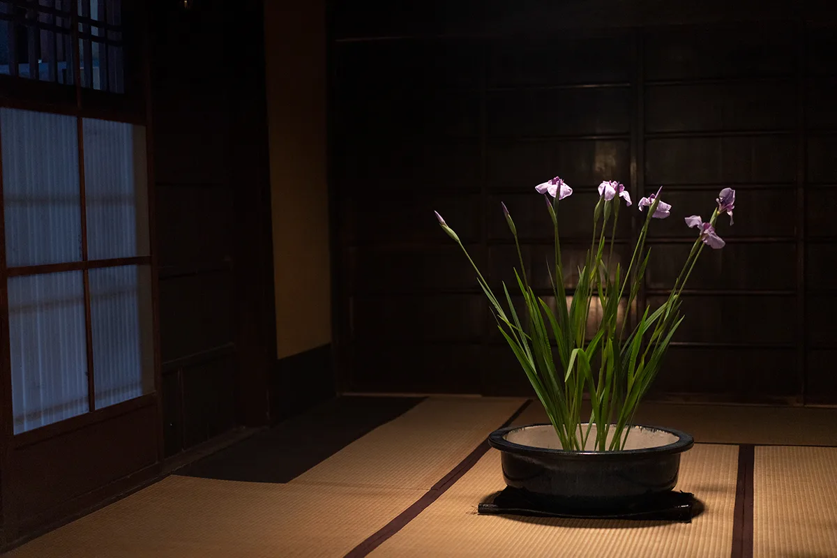 Muroi — photo 4