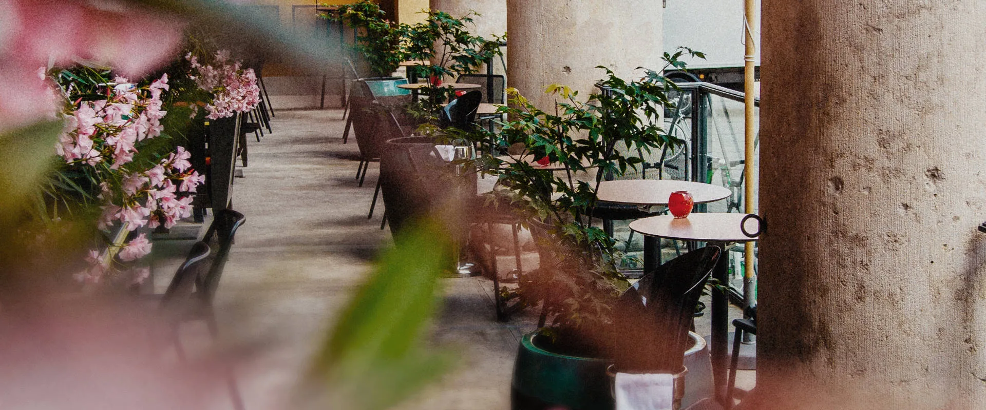 Restaurant Azuki — atmosphere