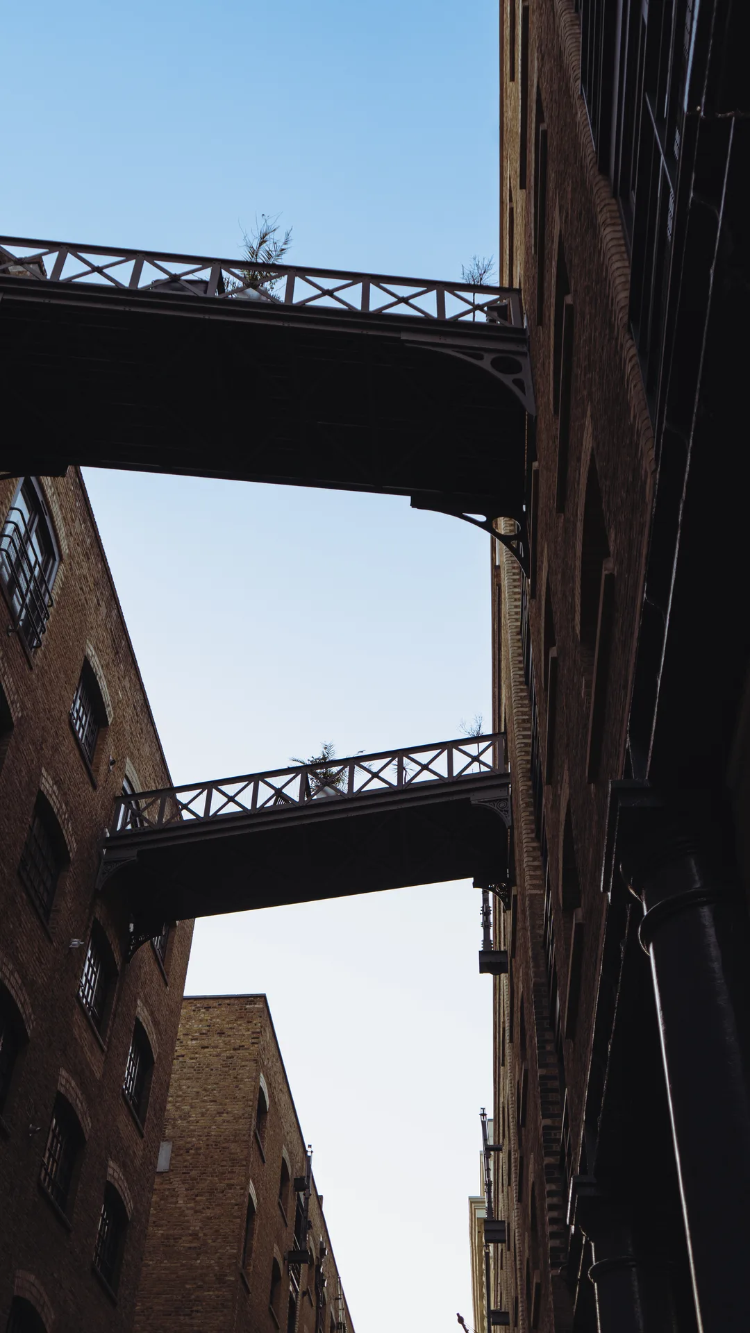 Legare — photo 13