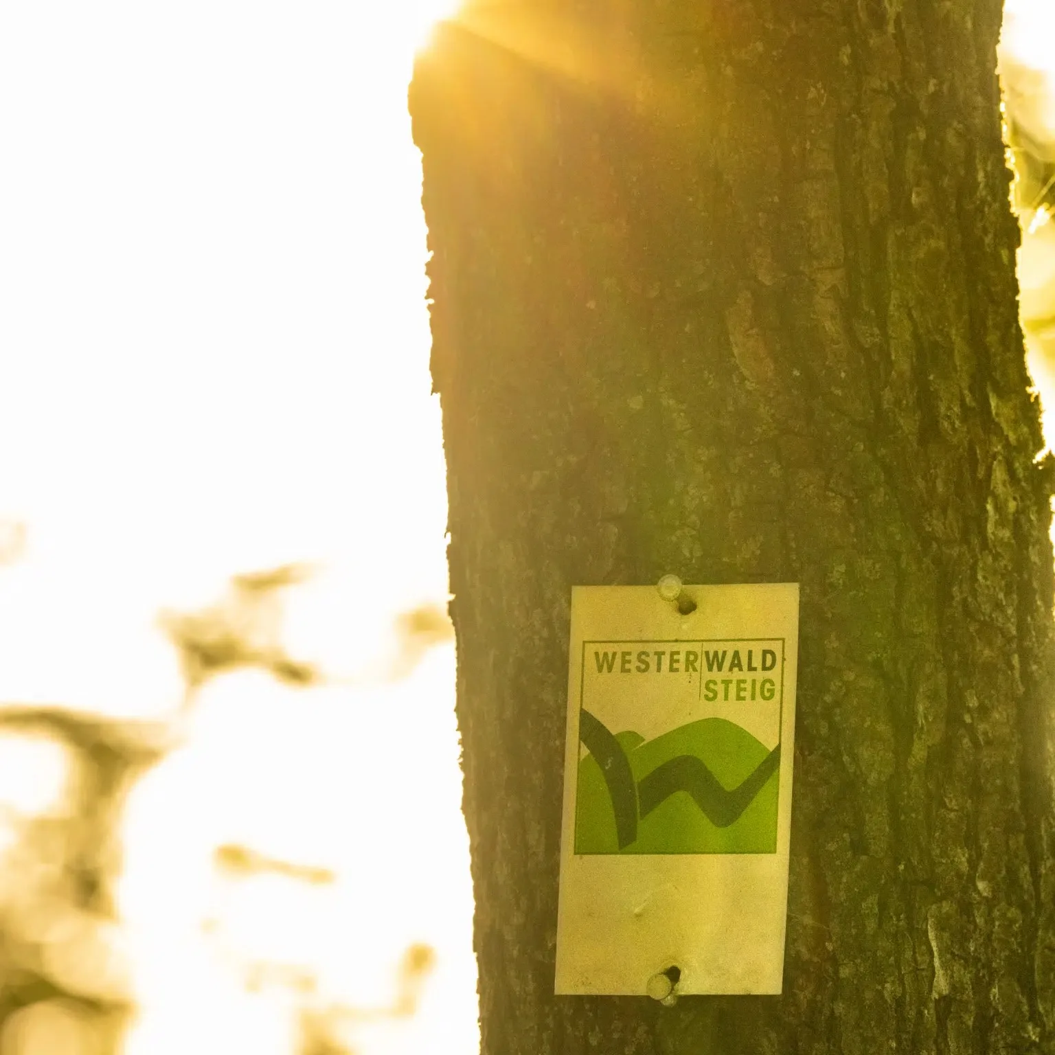 Zum Alten Fritz — photo 6