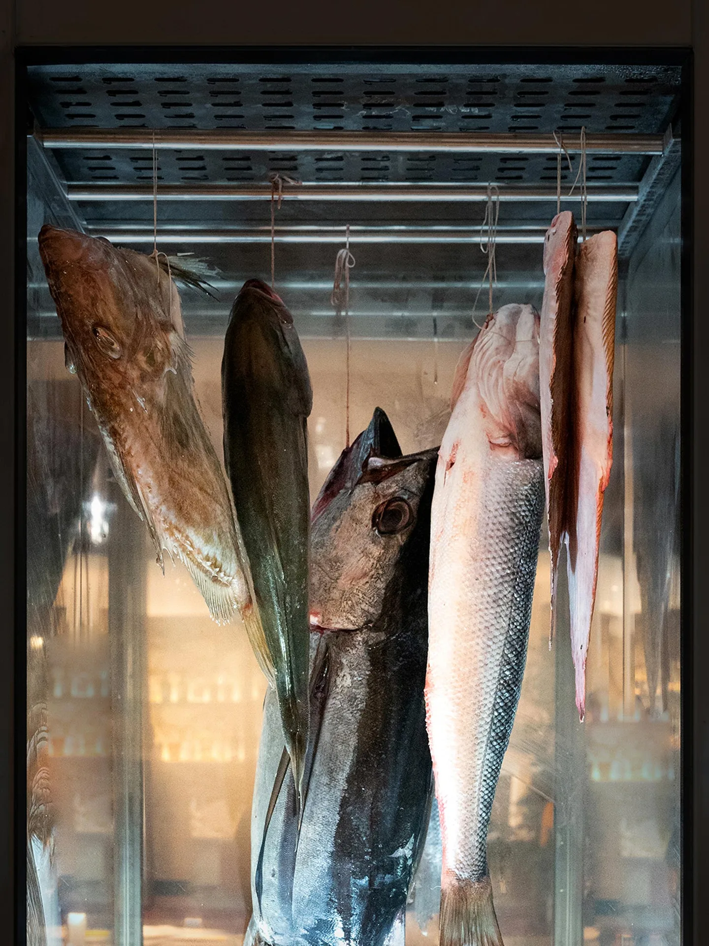 VIVE, Maison Mer — photo 18
