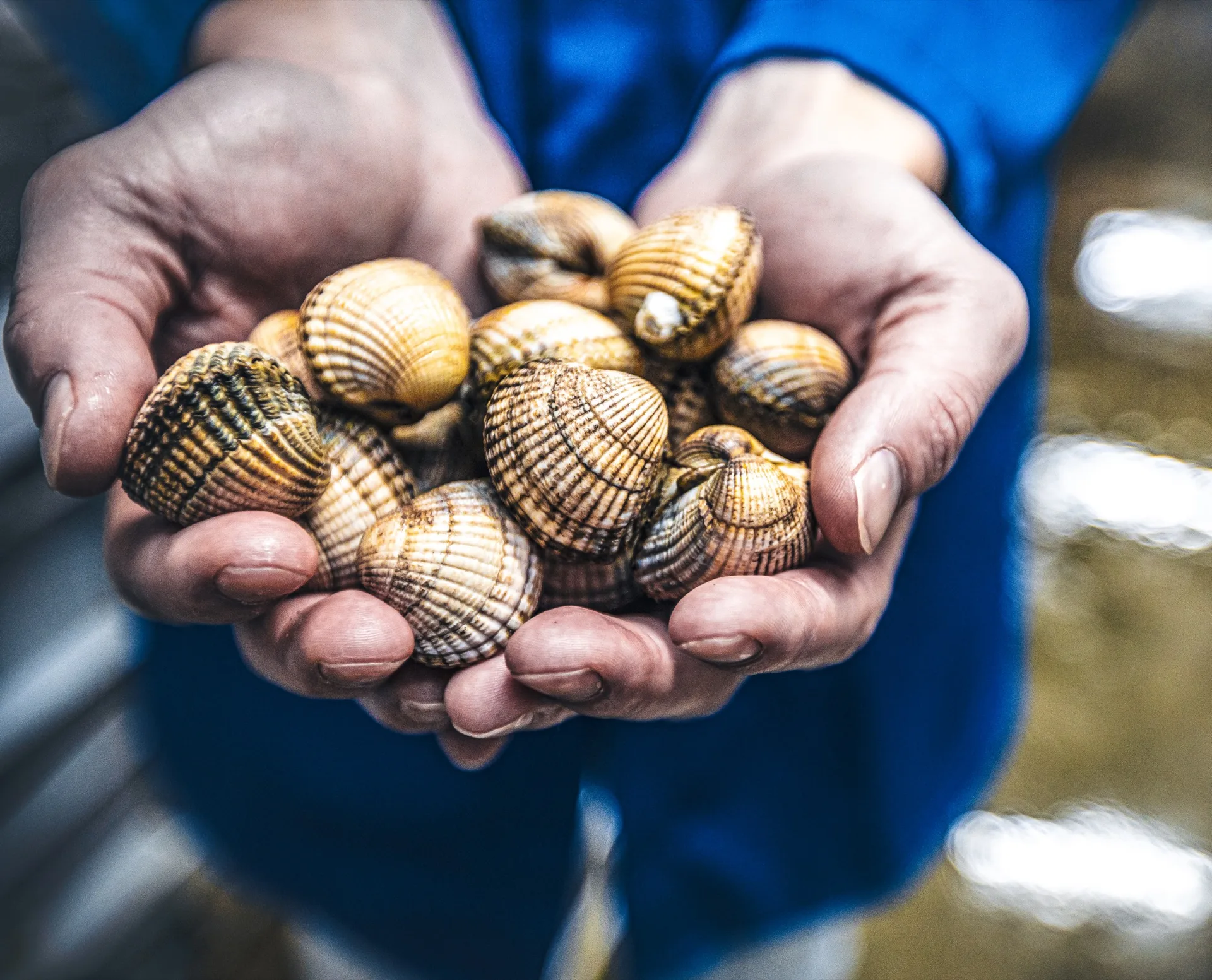Seafarm — photo 19