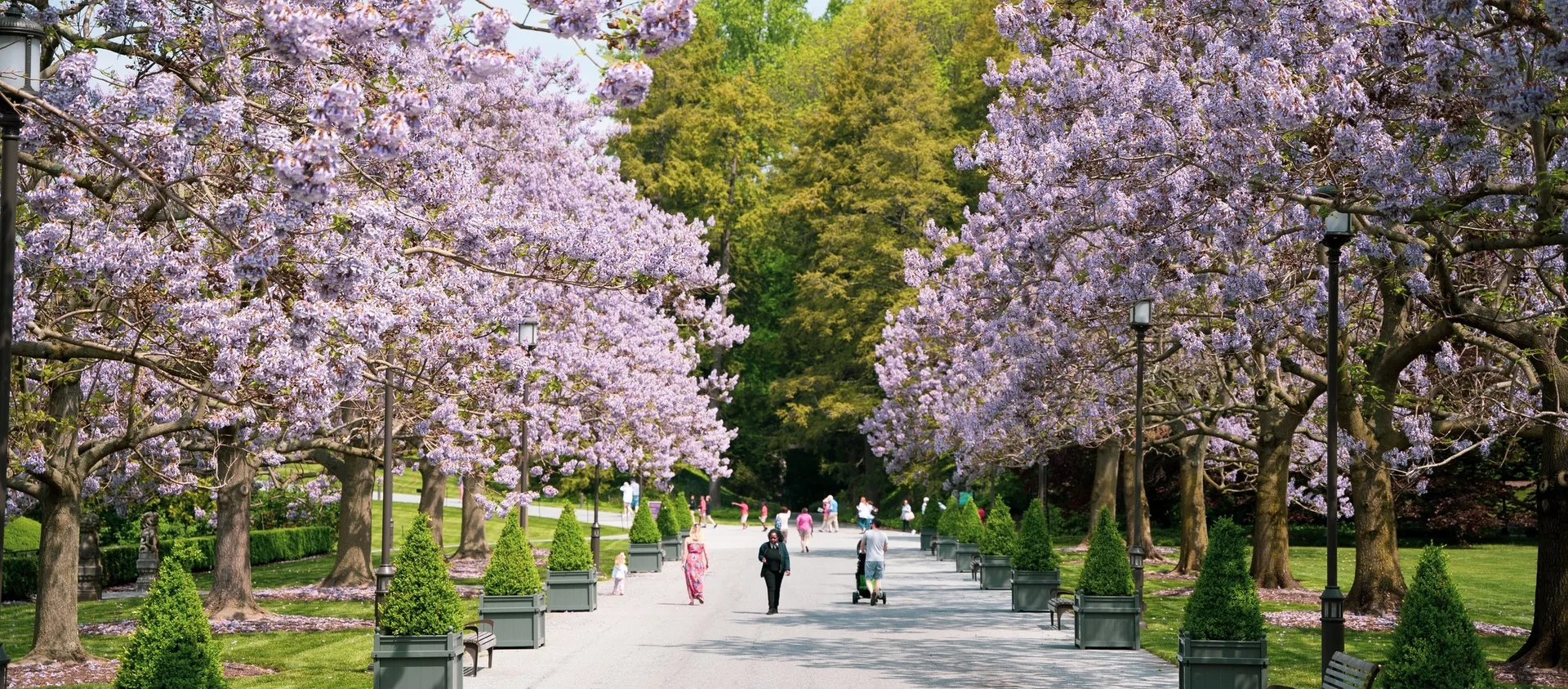 1906 at Longwood Gardens — photo 21