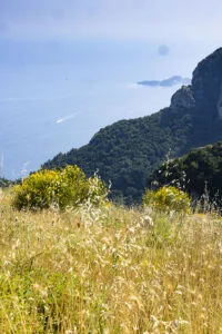 Cannavacciuolo Countryside, Castellammare di Stabia