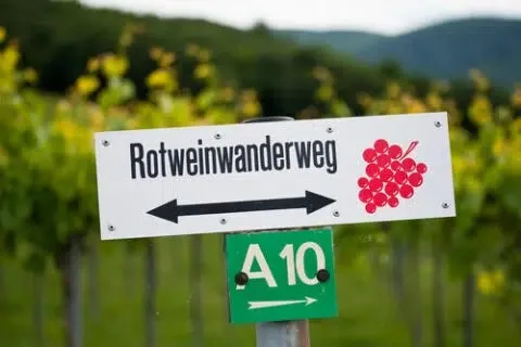 Restaurant Hohenzollern an der Ahr — photo 5