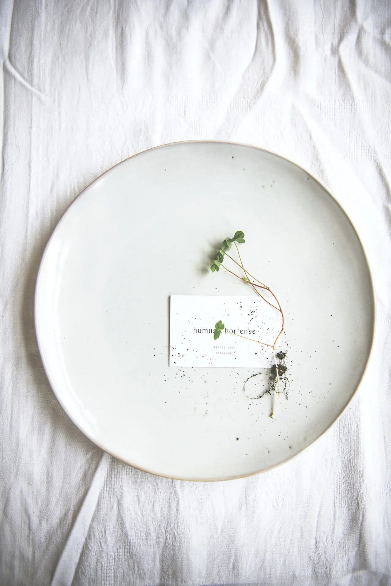 Humus x Hortense — photo 7