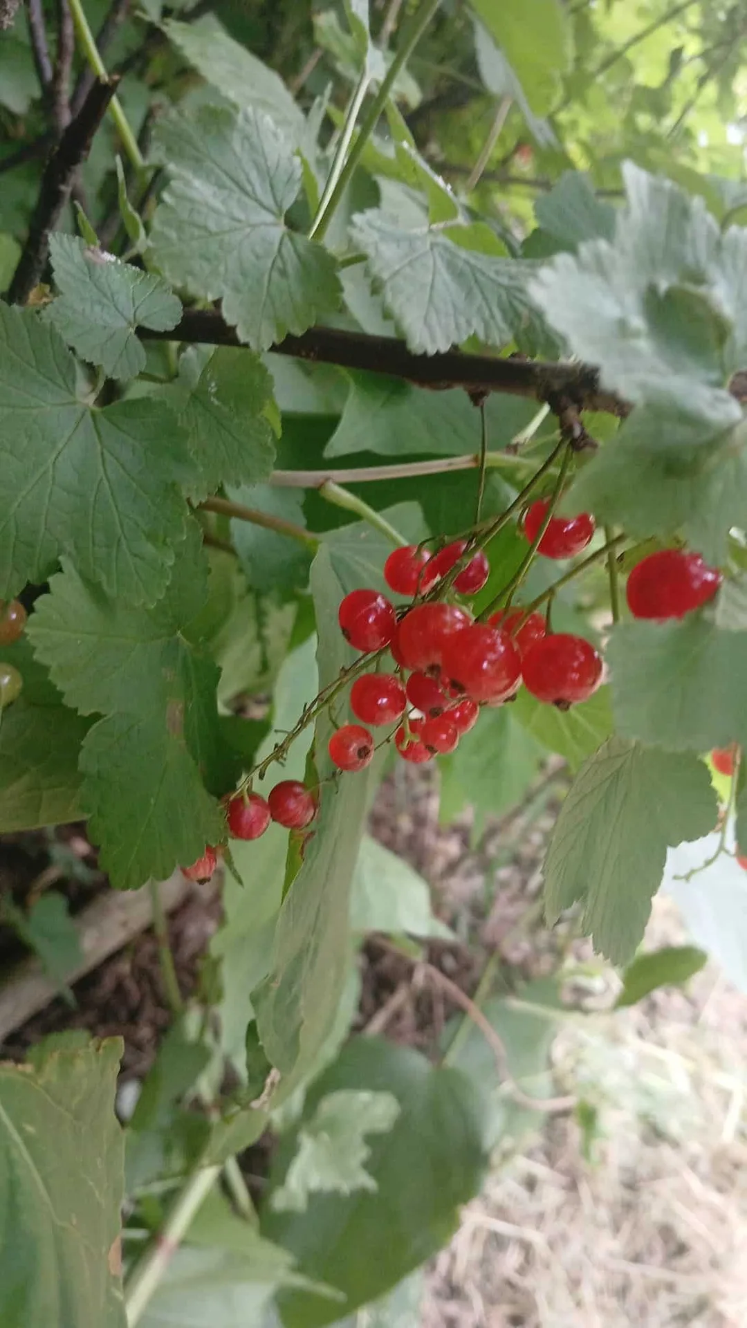 Posten — photo 9