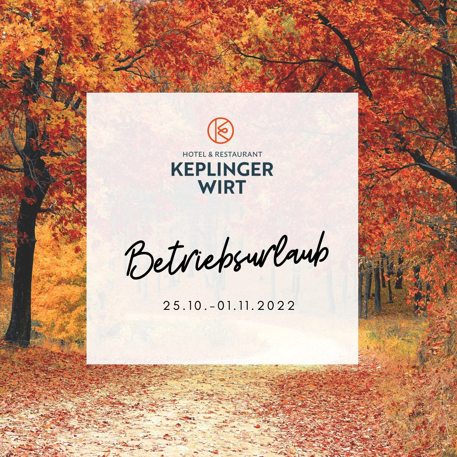 Keplingerwirt — photo 46
