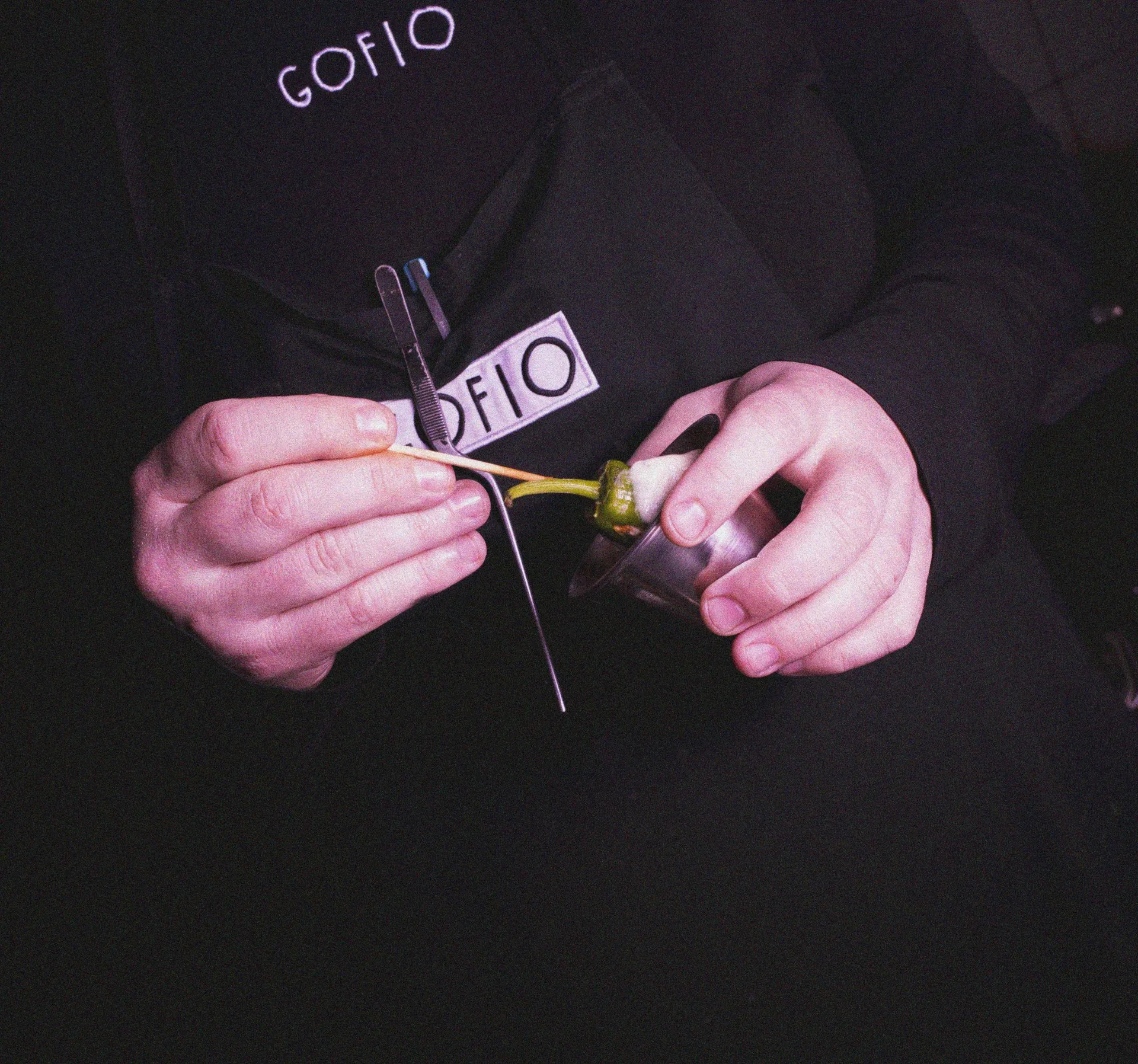 Gofio — photo 35