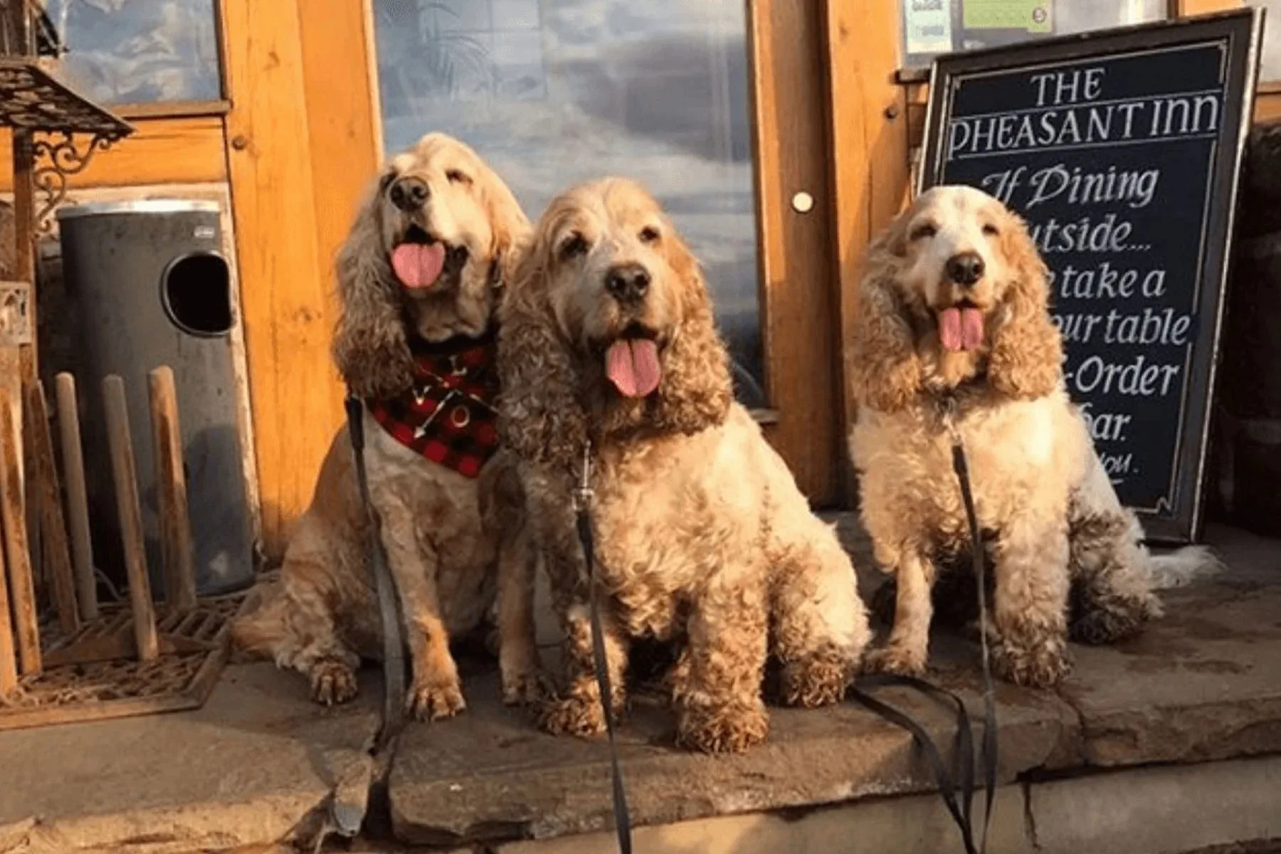 The Pheasant Inn — photo 74