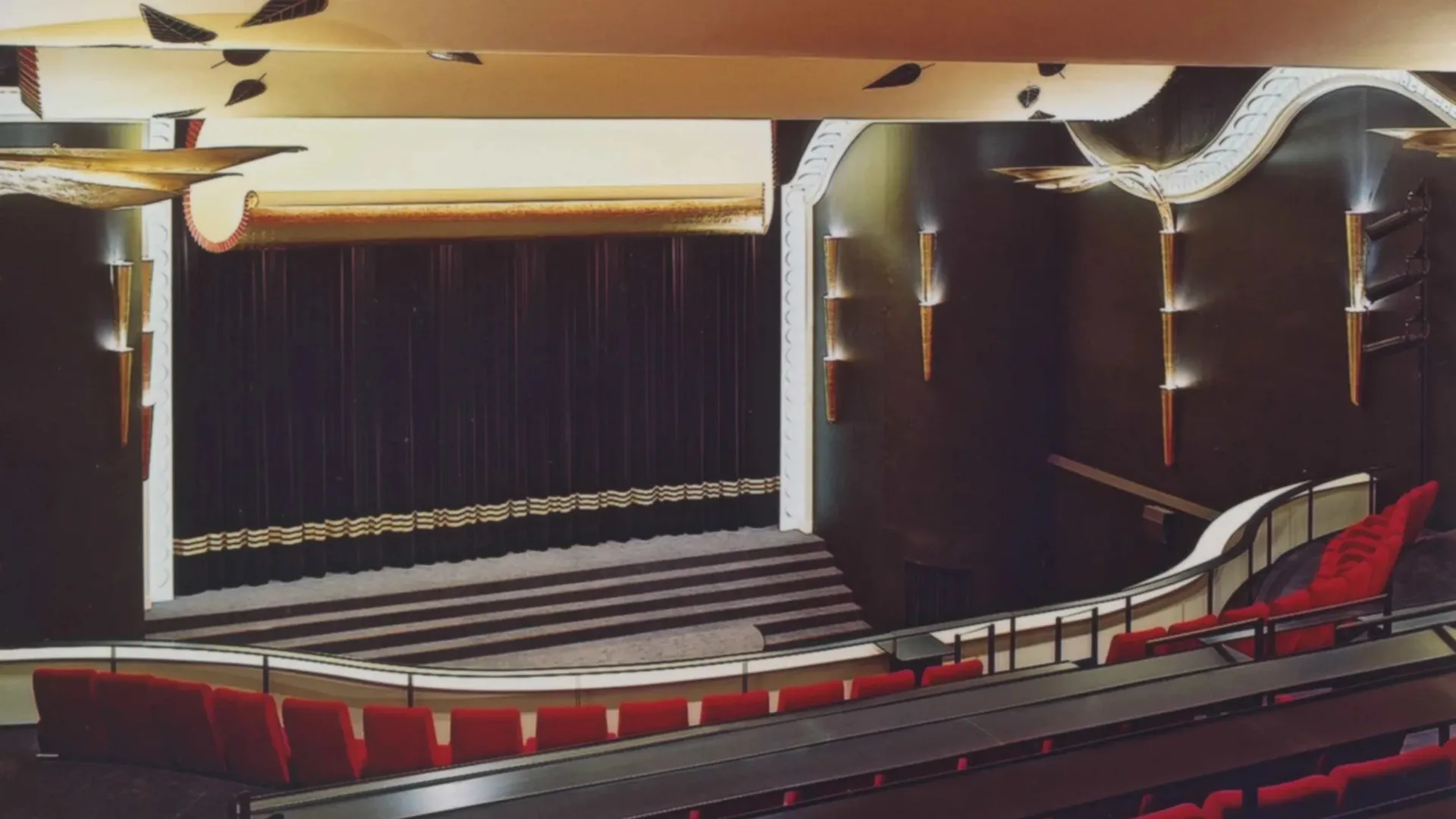Caligari — photo 5