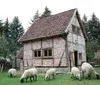 Restaurant Mohn, Hohnhorst