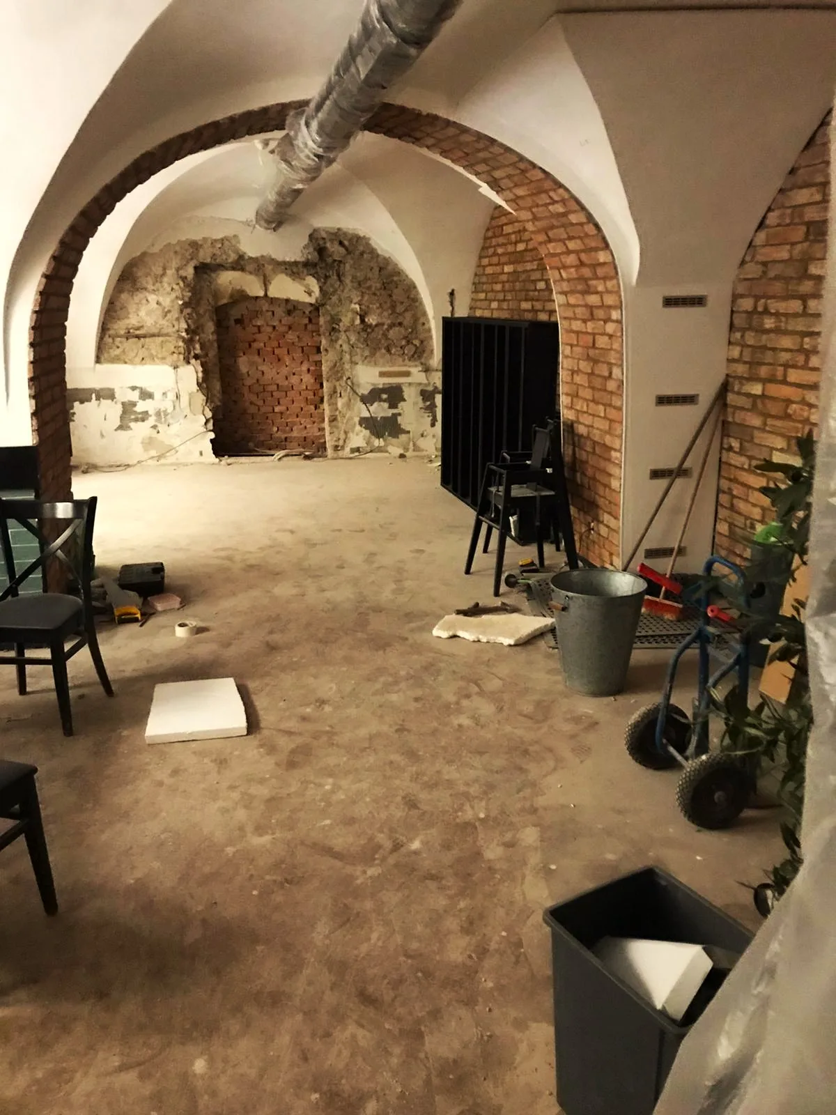 Gatto Matto Panská — photo 19