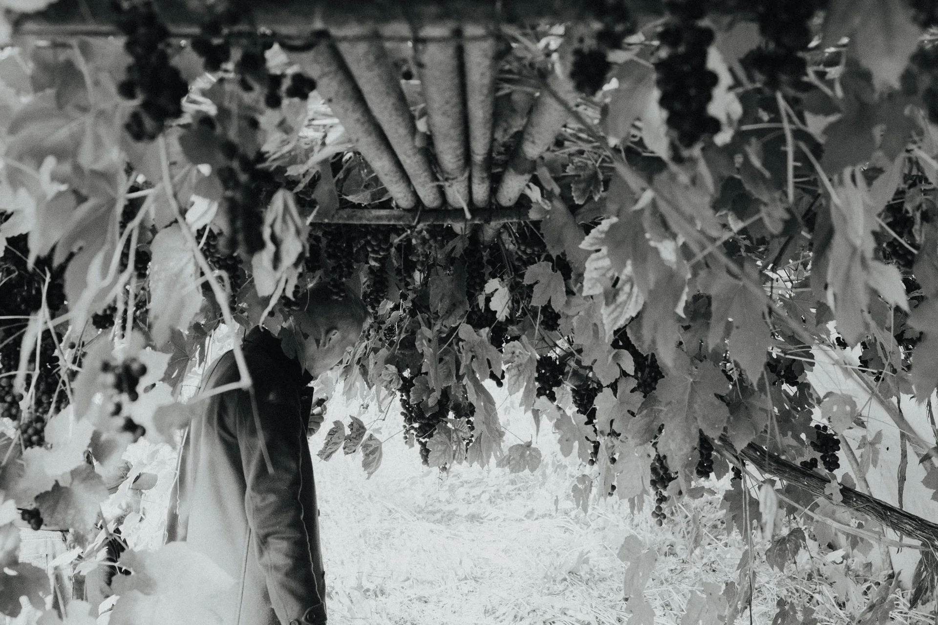 Abigail & Co — photo 12