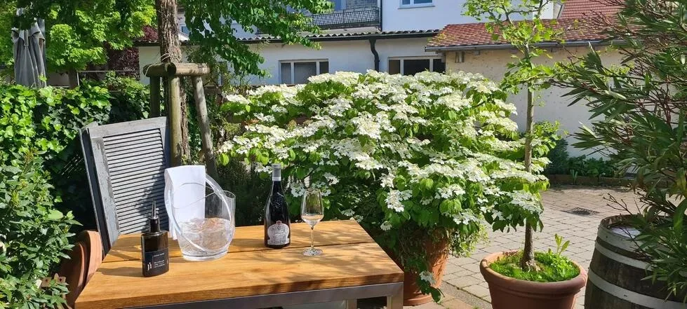 Traube Bietigheim — photo 16