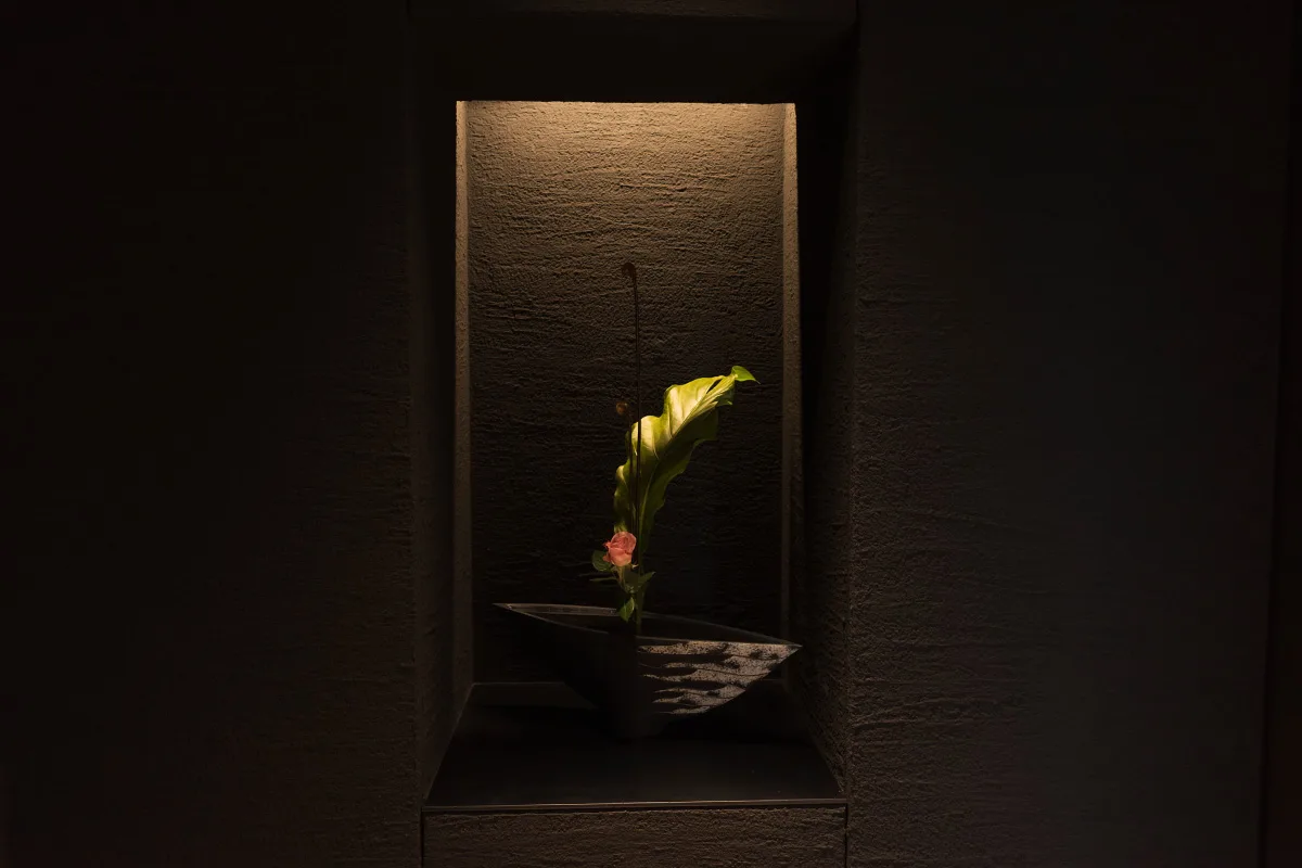 fenua — photo 6