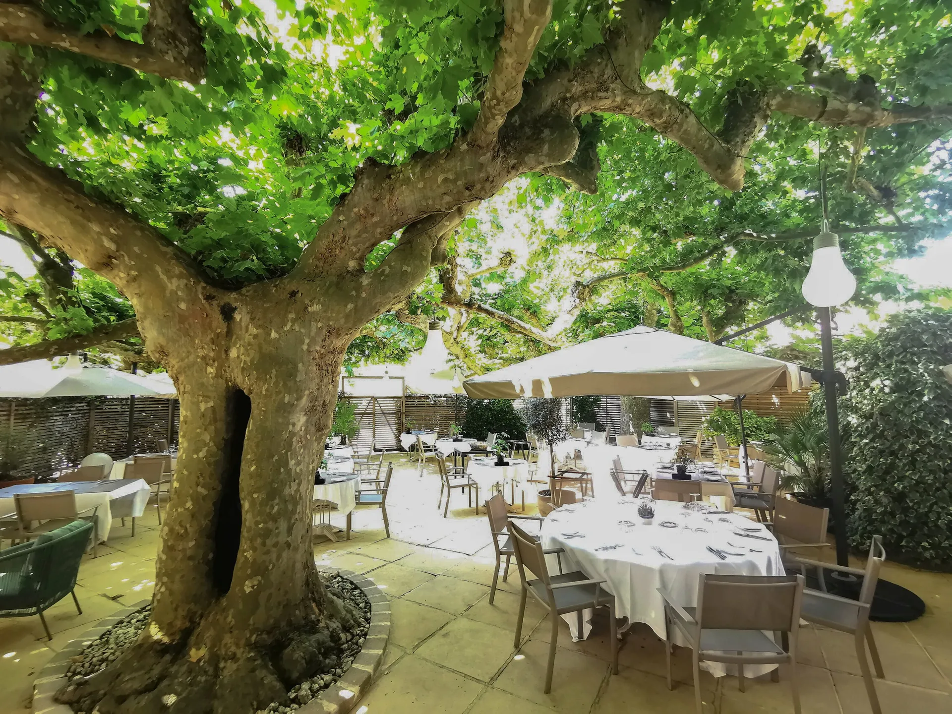 La Table de la Maison — photo 41