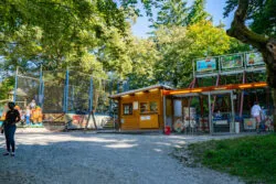 Waldwirtschaft Großhesselohe — photo 4