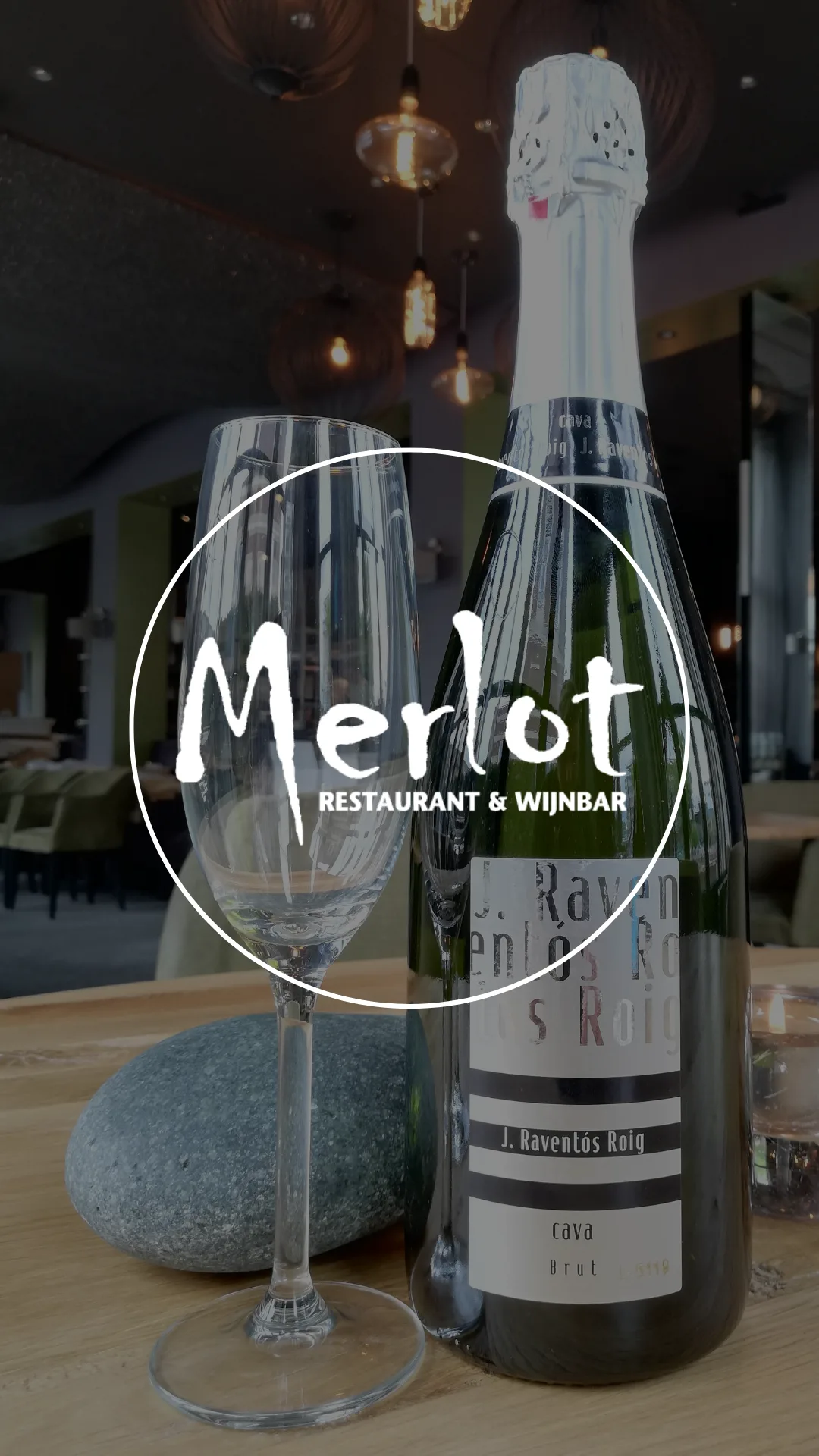Merlot — photo 29