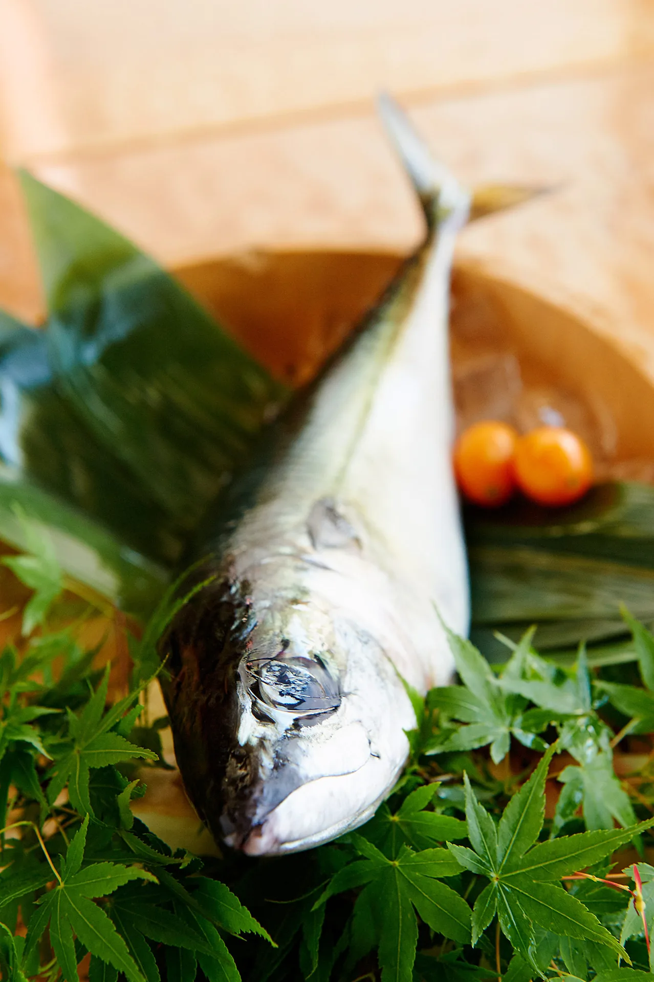 Sushi Ran — photo 4