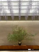 IRUCA TOKYO — photo 4