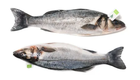 Atlantik Fisch — photo 18