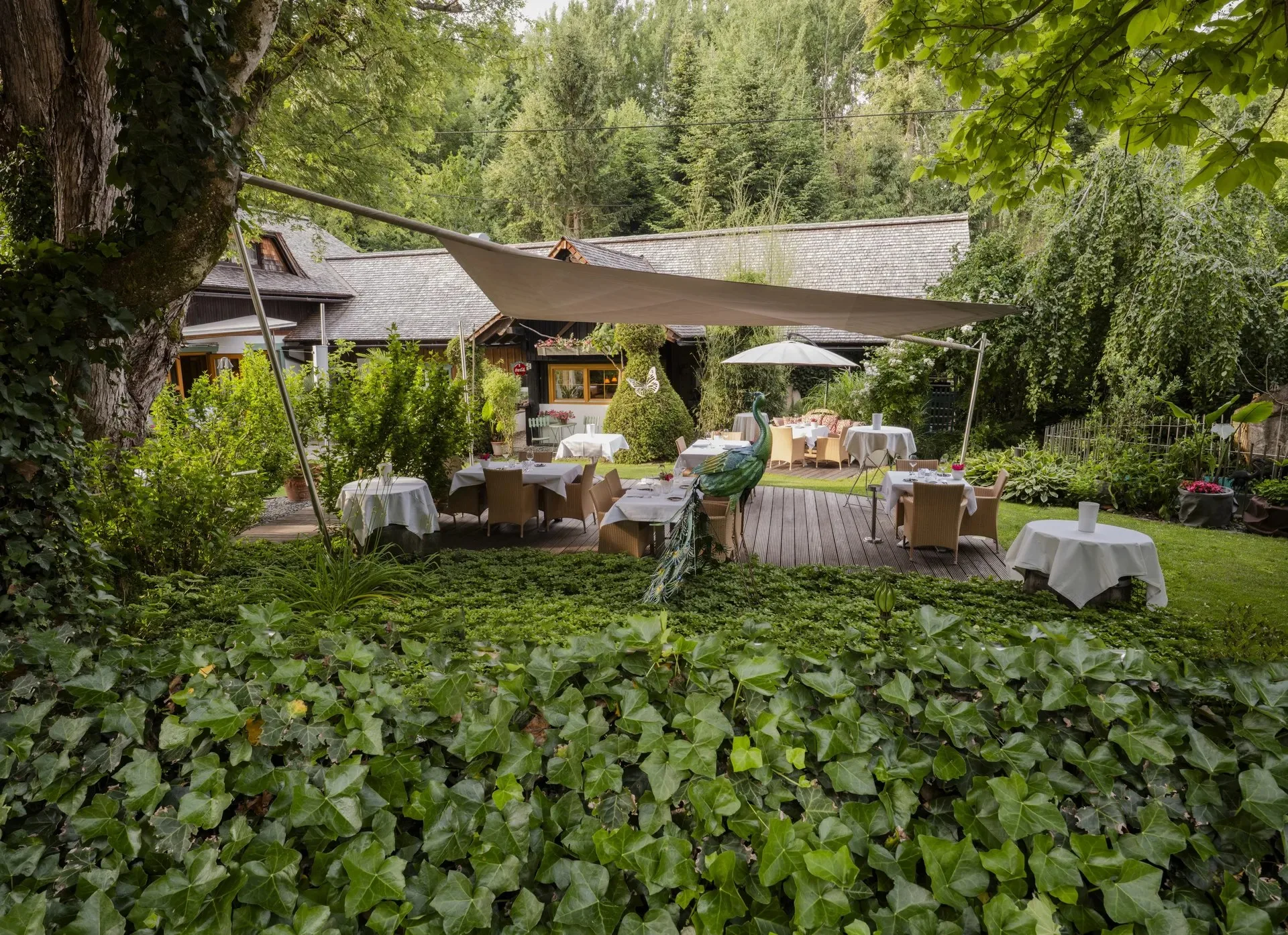 SICHER RESTAURANT — photo 33