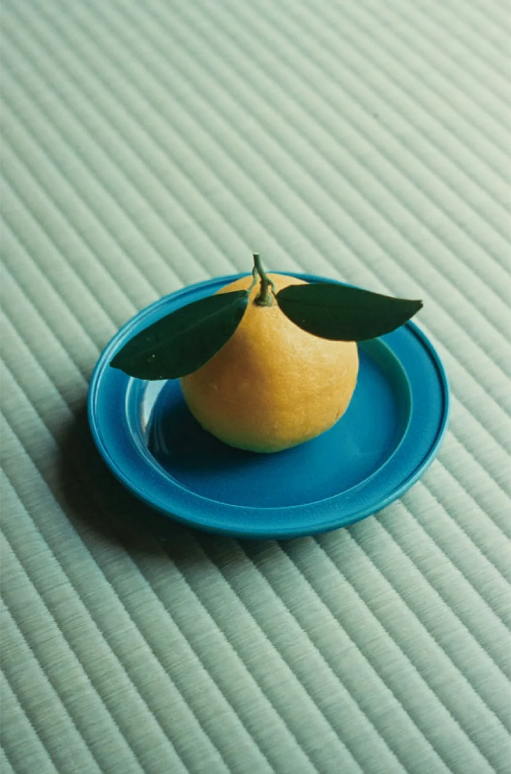 Seisoka, Tokyo