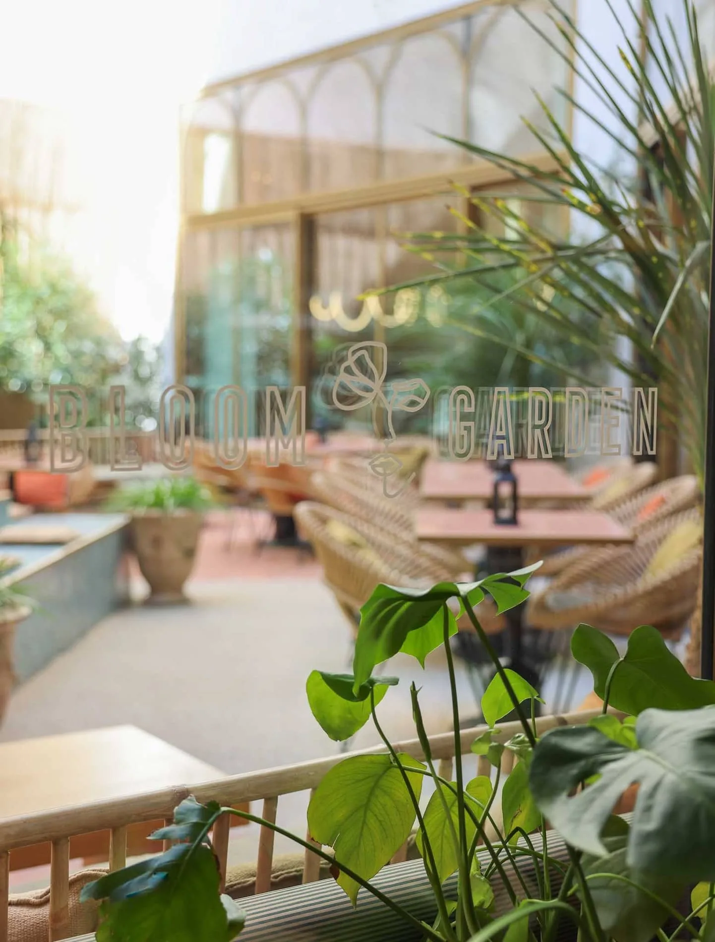 Bloom Garden — photo 18