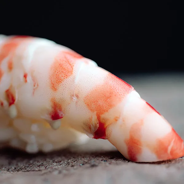 Sushi Oya — food