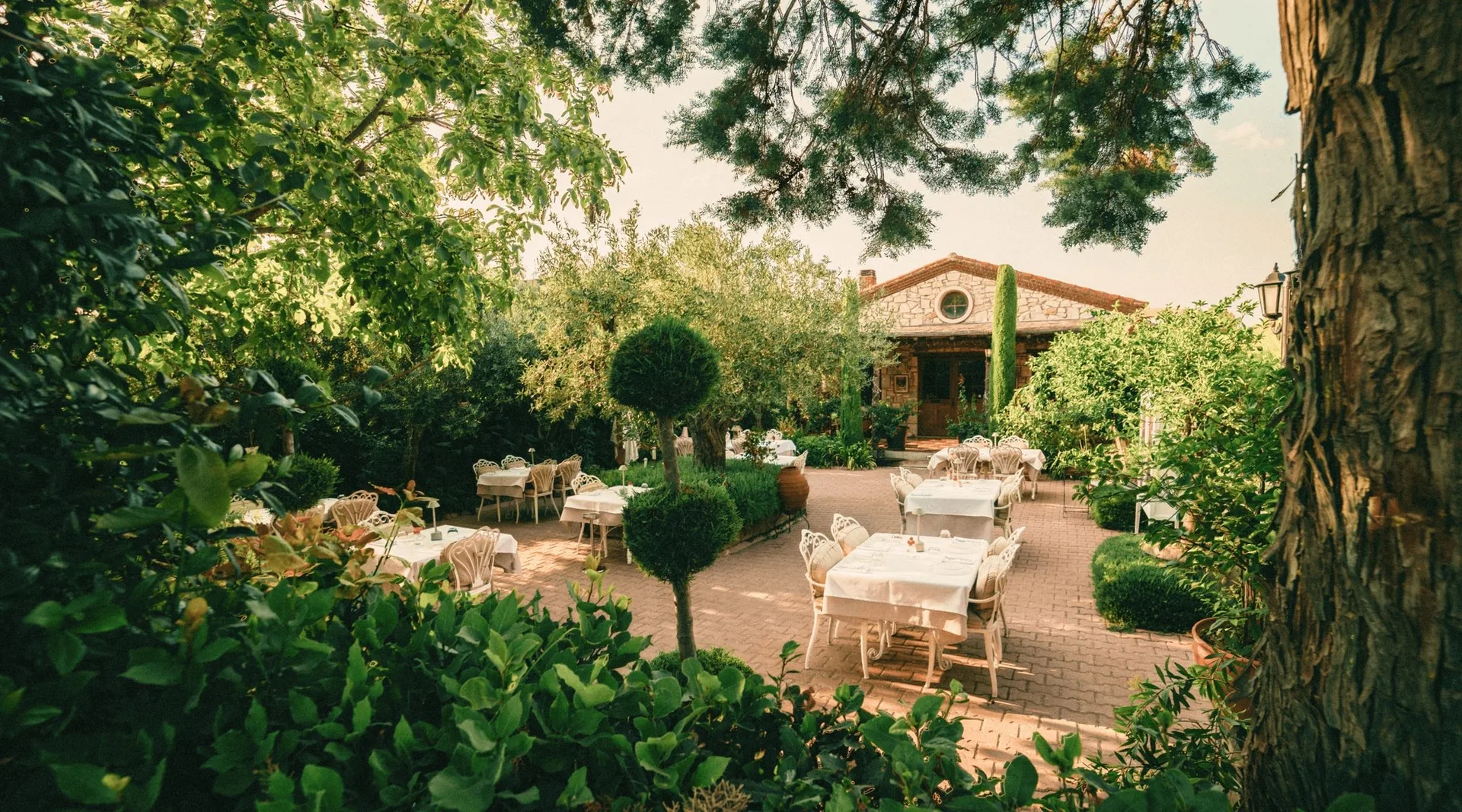 Vino Locale — photo 12