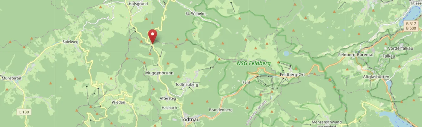 Waldhotel am Notschreipass — photo 12