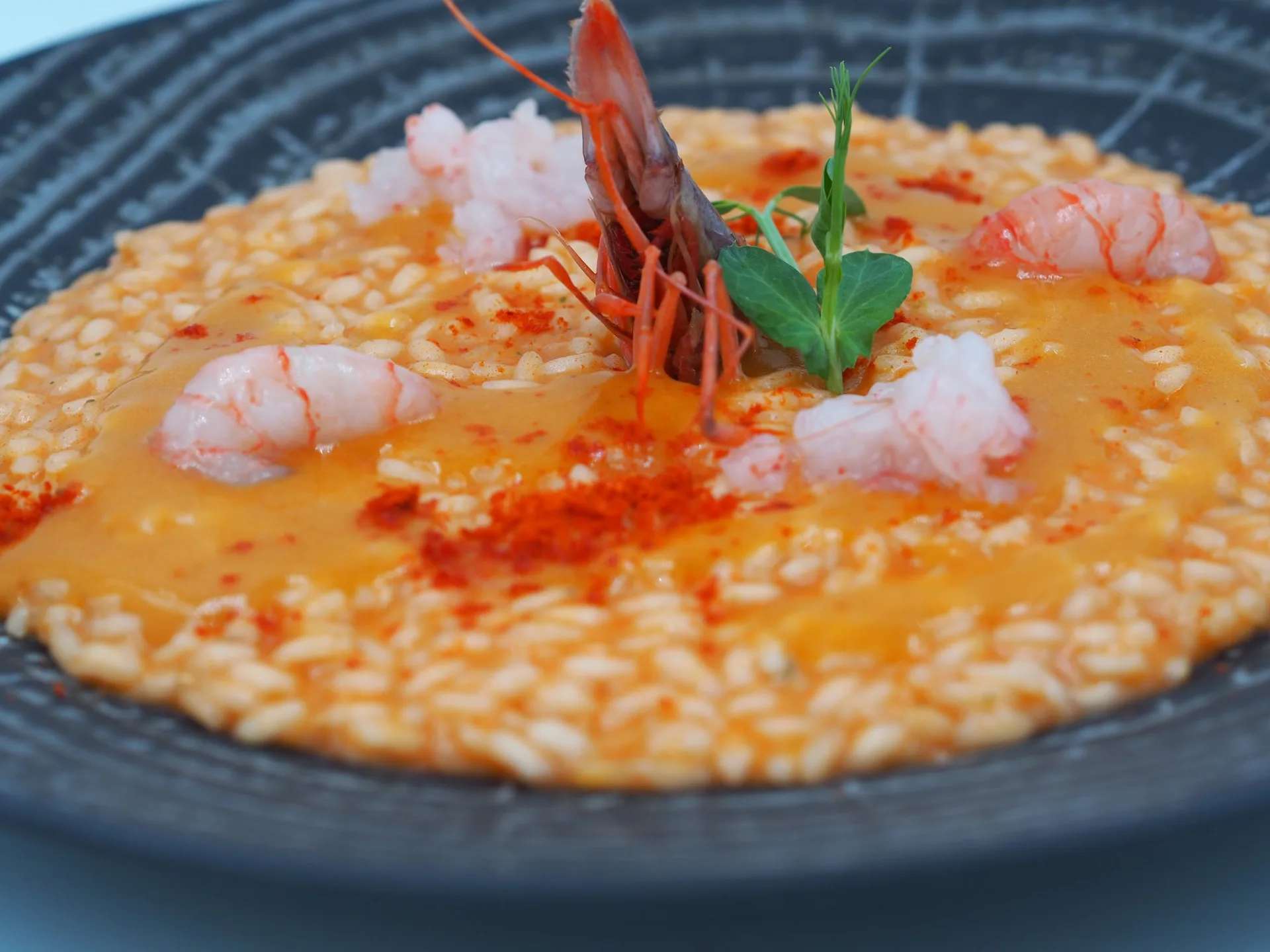 La RiMa — photo 10