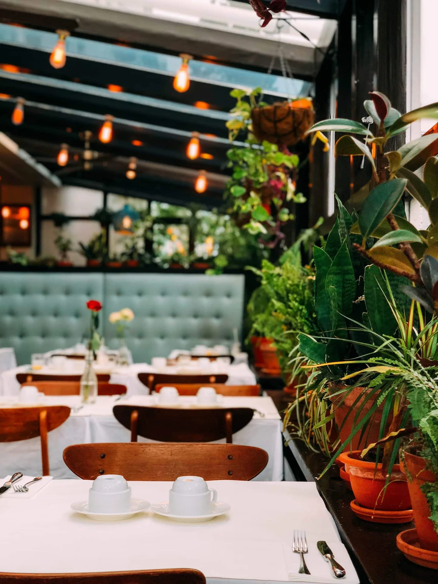 Brasserie Le Jura — photo 20