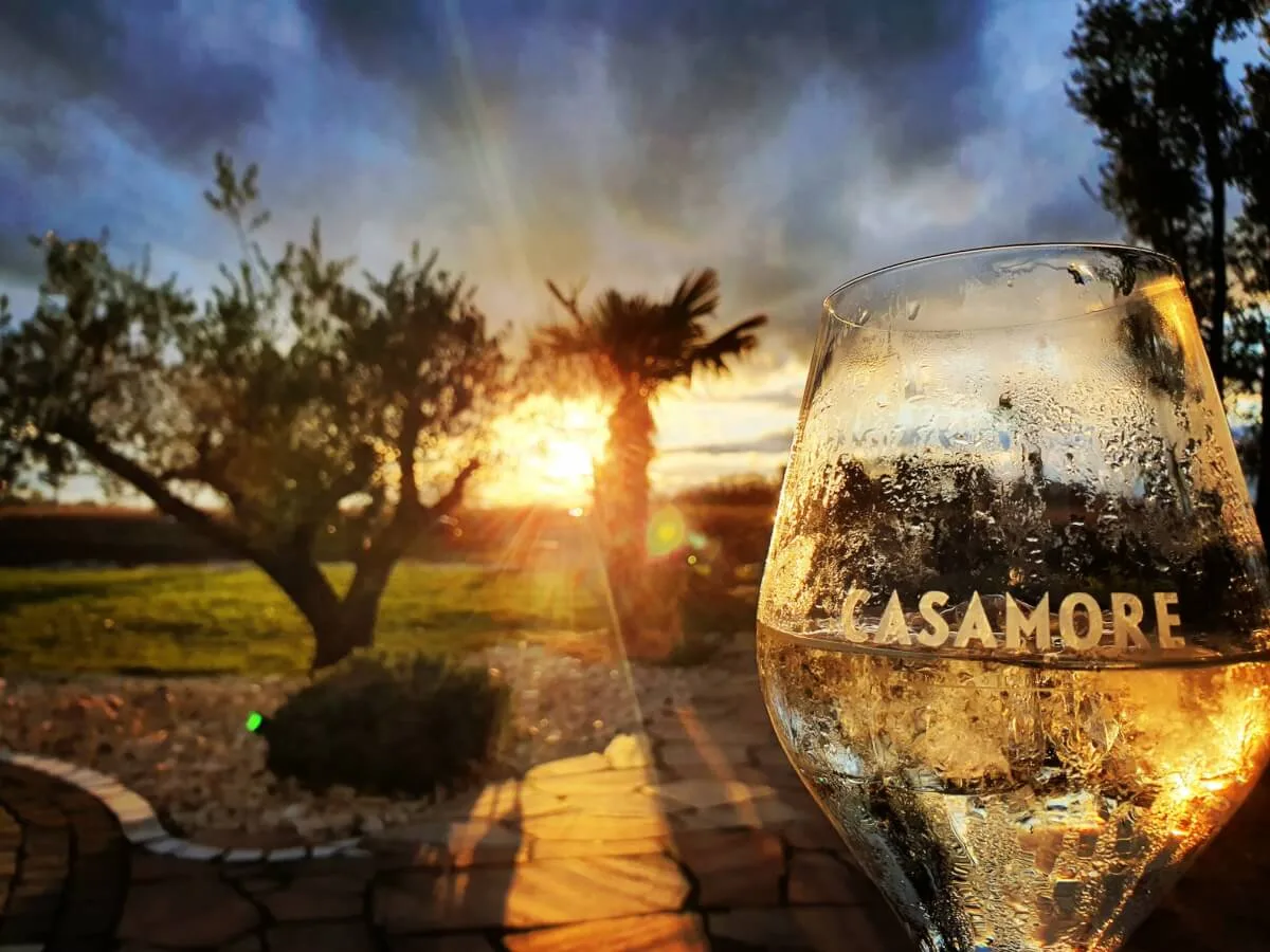Casamore — photo 50