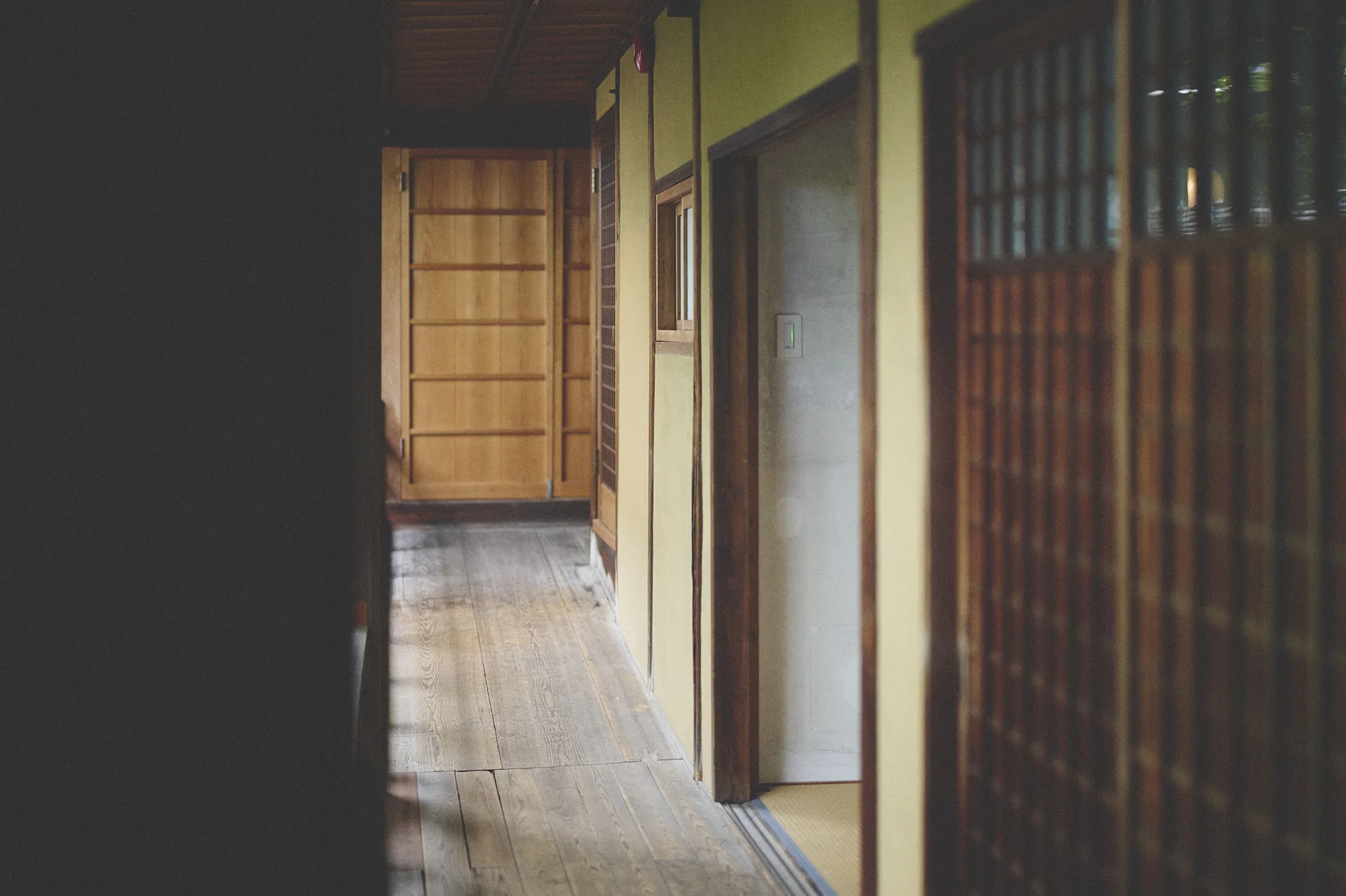 LE UN — photo 11