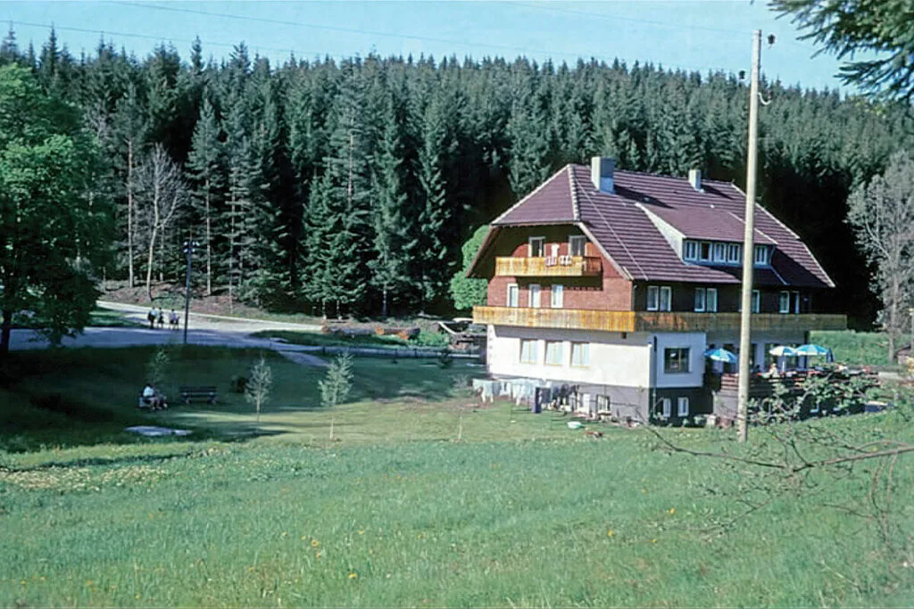 Waldsägmühle — photo 65