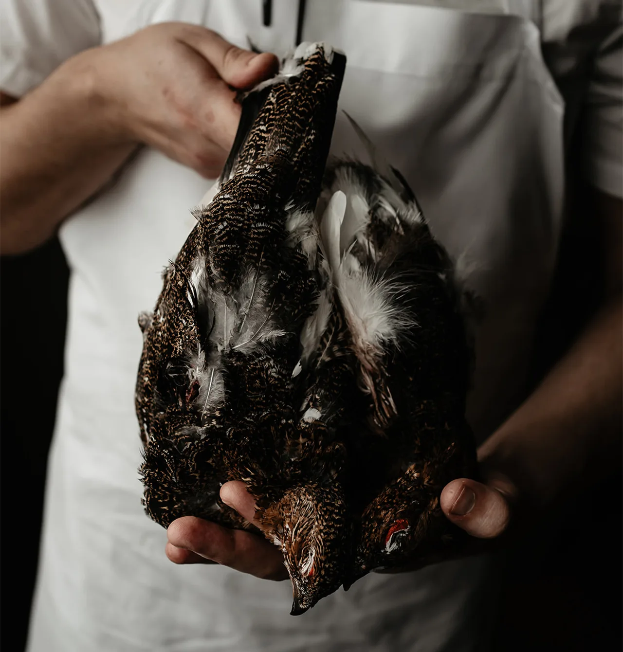 Vyn — kitchen