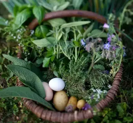 Le Domaine de Saint-Géry — food