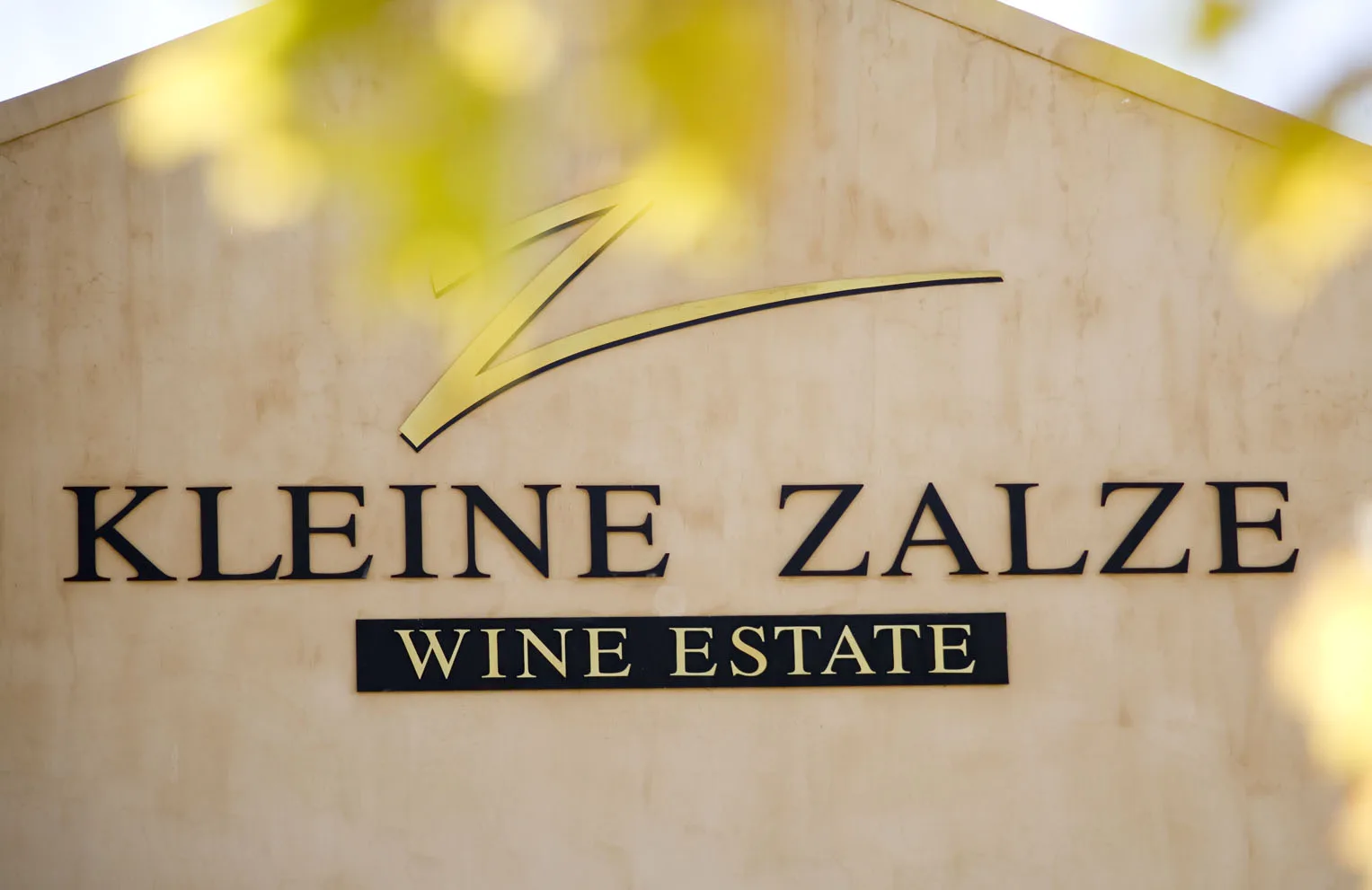 Kleine Zalze Restaurant — photo 52