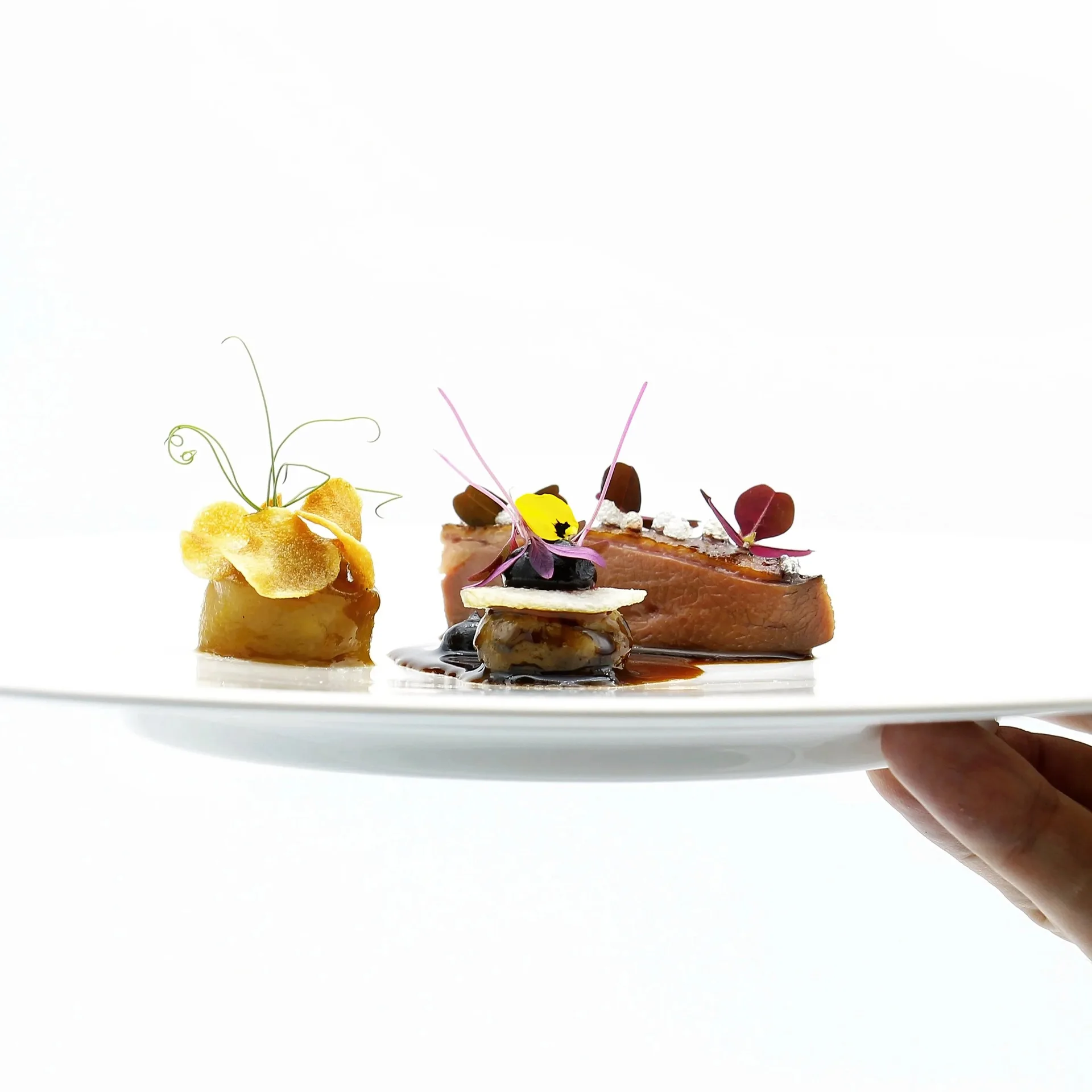 Restaurant Papilio — photo 15