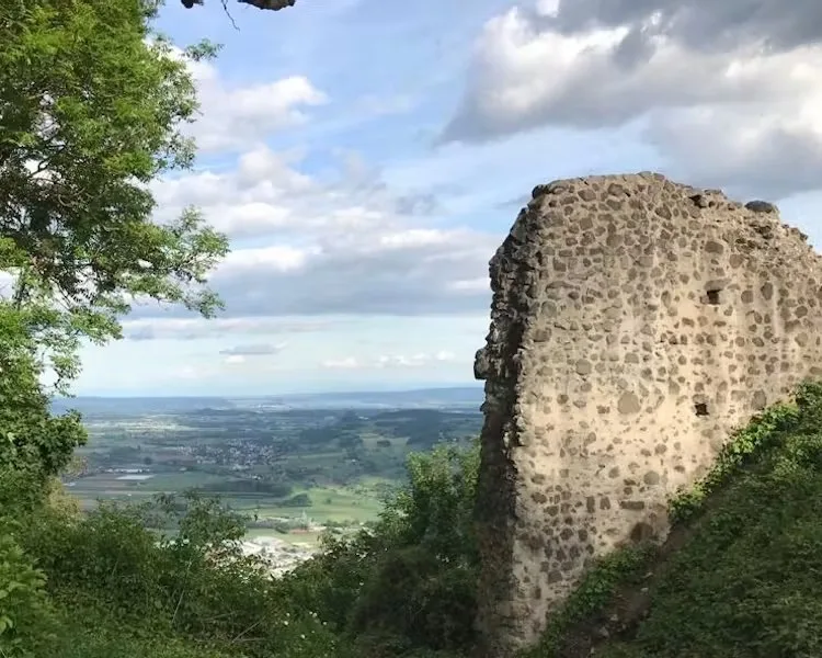 Gasthof zum Adler — photo 17