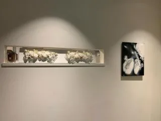 l'algorithme, Tokyo