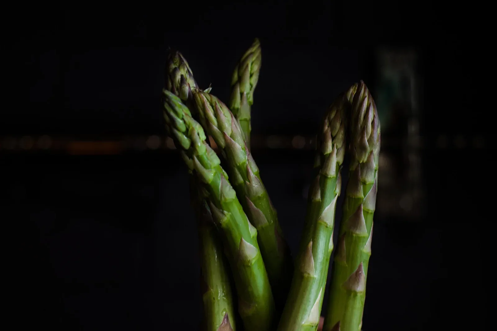 Gastro by Elemento — photo 4